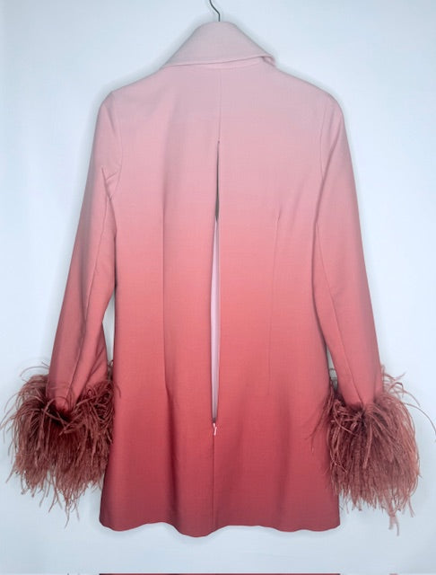 16Arlington Feather Cuff Ombré Tunic / Mini Dress Size 10