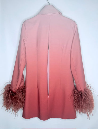 16Arlington Feather Cuff Ombré Tunic / Mini Dress Size 10
